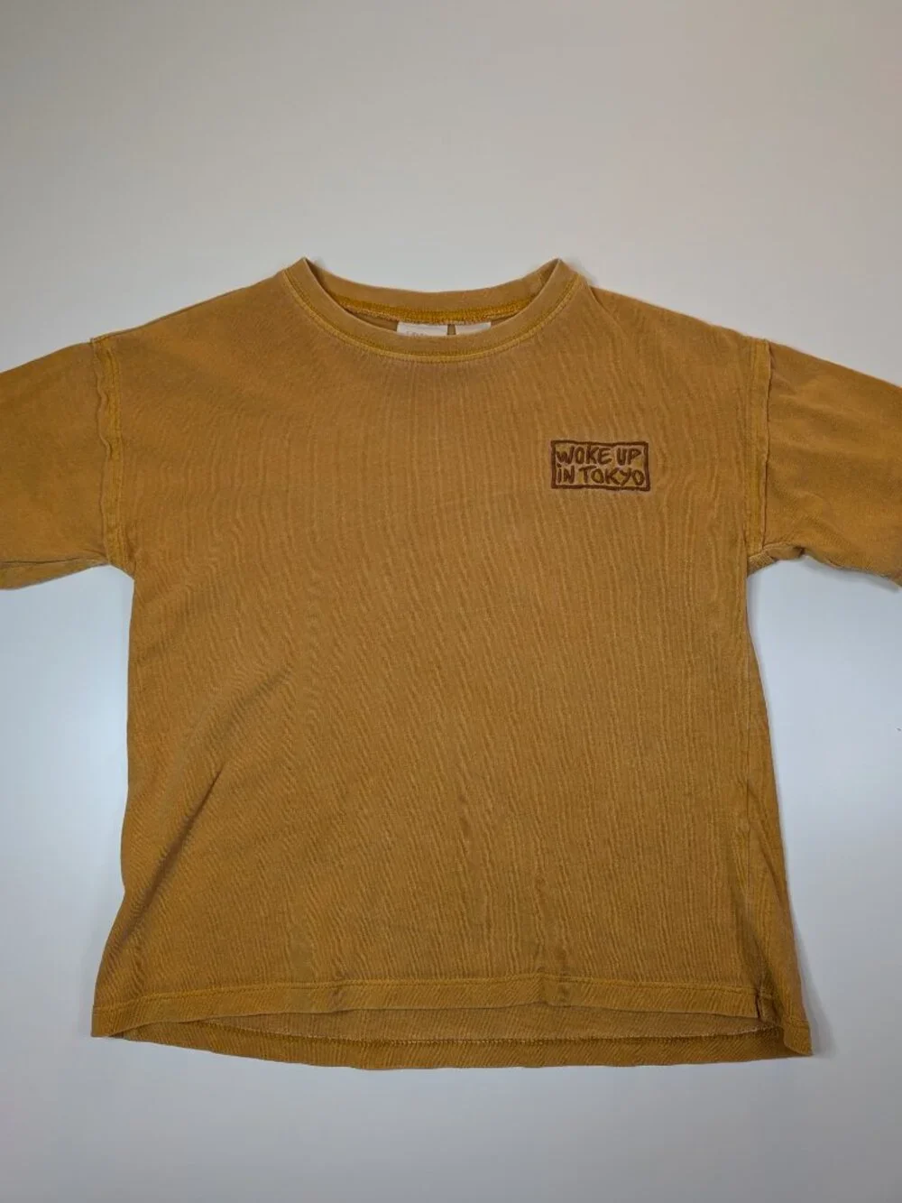 Zara Boys Woke Up in Tokyo Embroidered T-Shirt Mustard Brown Size 4-5